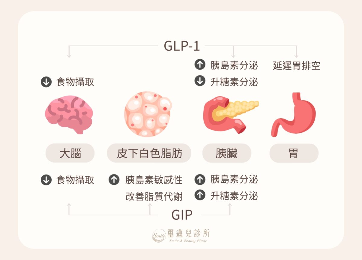 猛健樂- 璽邁兒診所